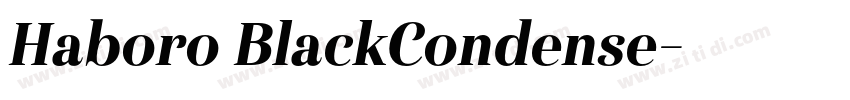 Haboro BlackCondense字体转换